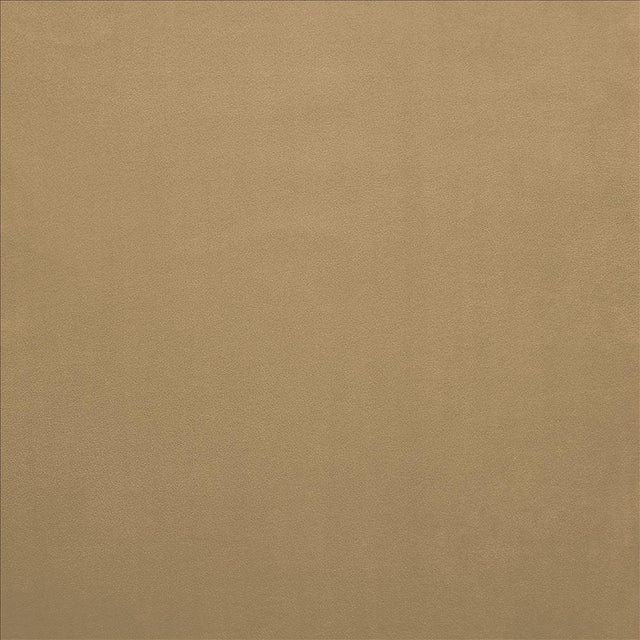 Kasmir Knockout Toast Fabric