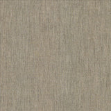 Kasmir Mcdowell Travertine Fabric