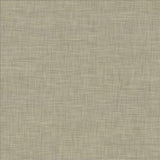 Kasmir Mercado Platinum Fabric