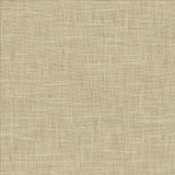 Kasmir Mina Texture Oatmeal Fabric
