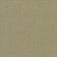 Kasmir Pecan Grove Linen Fabric
