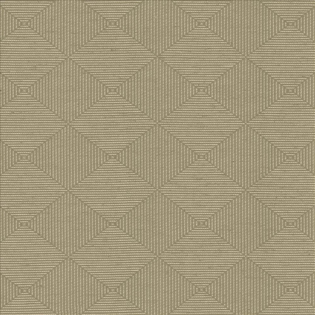 Kasmir Peculiar Stone Fabric