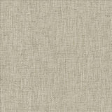Kasmir Safe Bet Linen Fabric