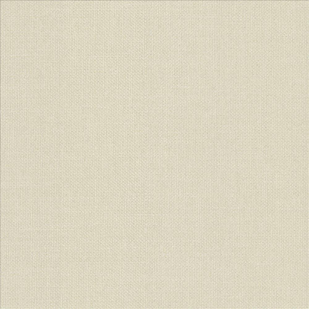 Kasmir Subtle Chic Champagne Fabric