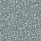Kasmir Twilight Cloud Fabric