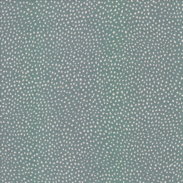 Kasmir Twilight Cloud Fabric