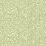 A-Street Prints Anna Light Green Fern Trail Wallpaper