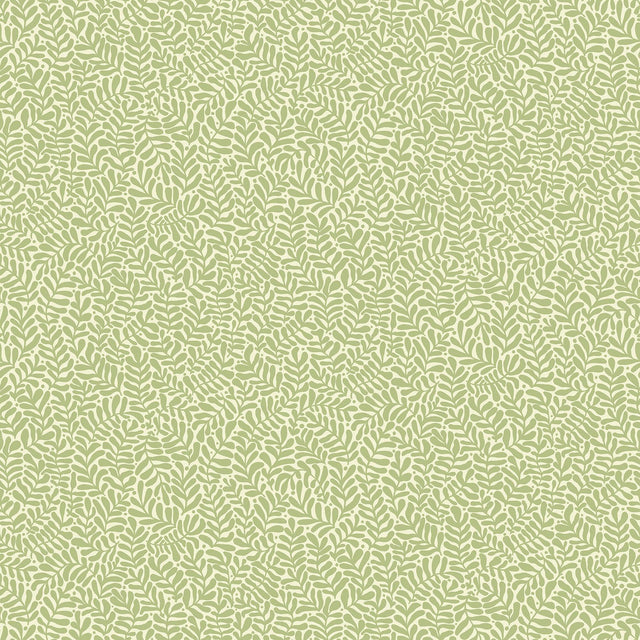 A-Street Prints Anna Light Green Fern Trail Wallpaper