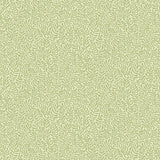 A-Street Prints Anna Light Green Fern Trail Light green Wallpaper