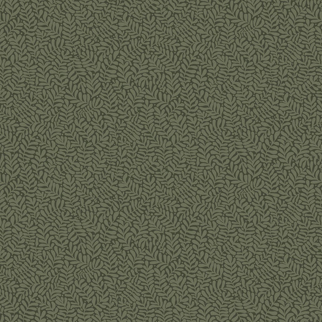 A-Street Prints Anna Dark Green Fern Trail Wallpaper