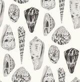 Brewster Home Fashions Graphite Coquina Scalamandre Self Adhesive Wallpaper