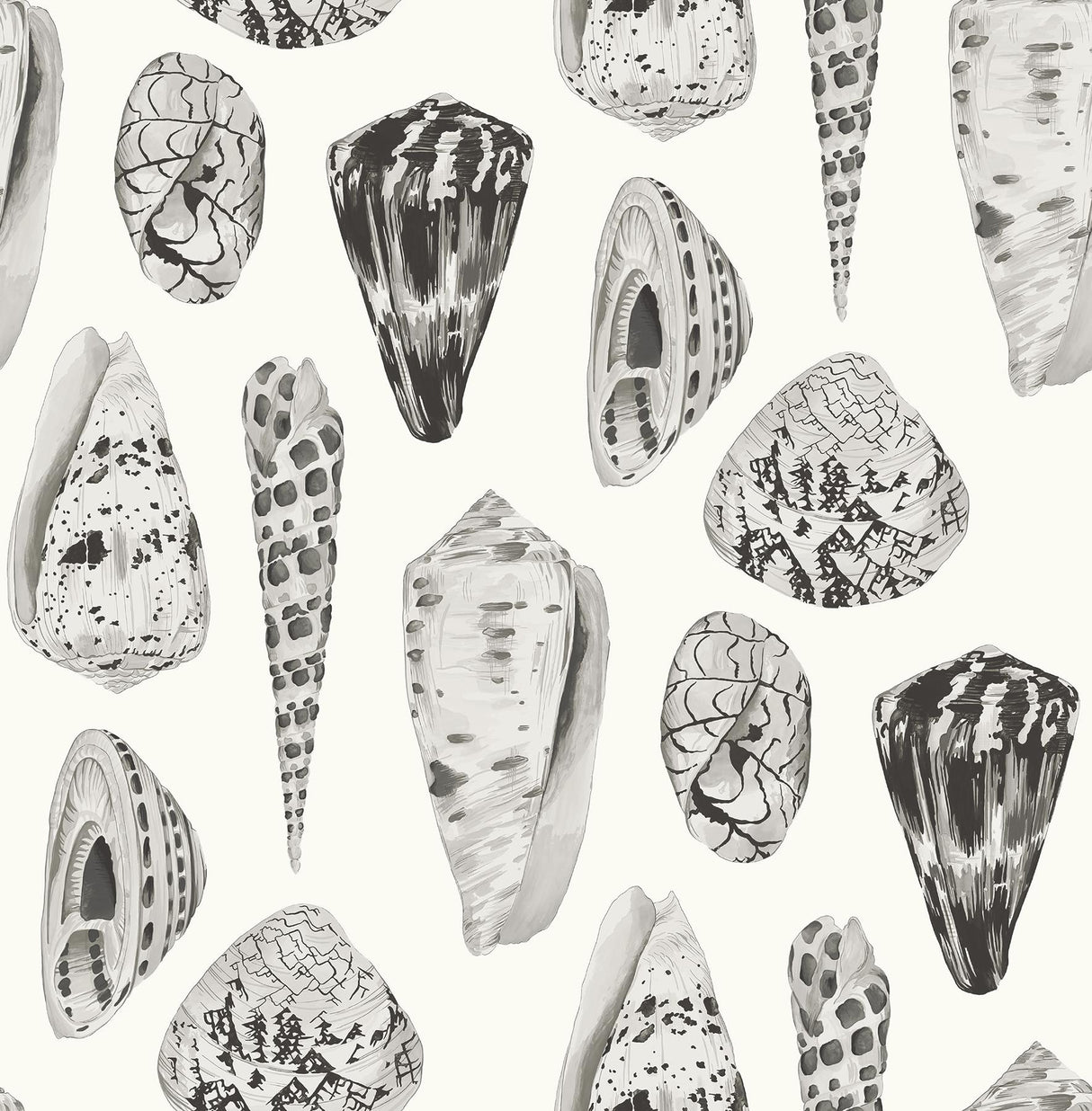 Brewster Home Fashions Coquina Scalamandre Self Adhesive Graphite Wallpaper