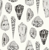 Brewster Home Fashions Coquina Scalamandre Self Adhesive Graphite Wallpaper