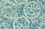 Brewster Home Fashions Teal Camille Peel & Stick Wallpaper