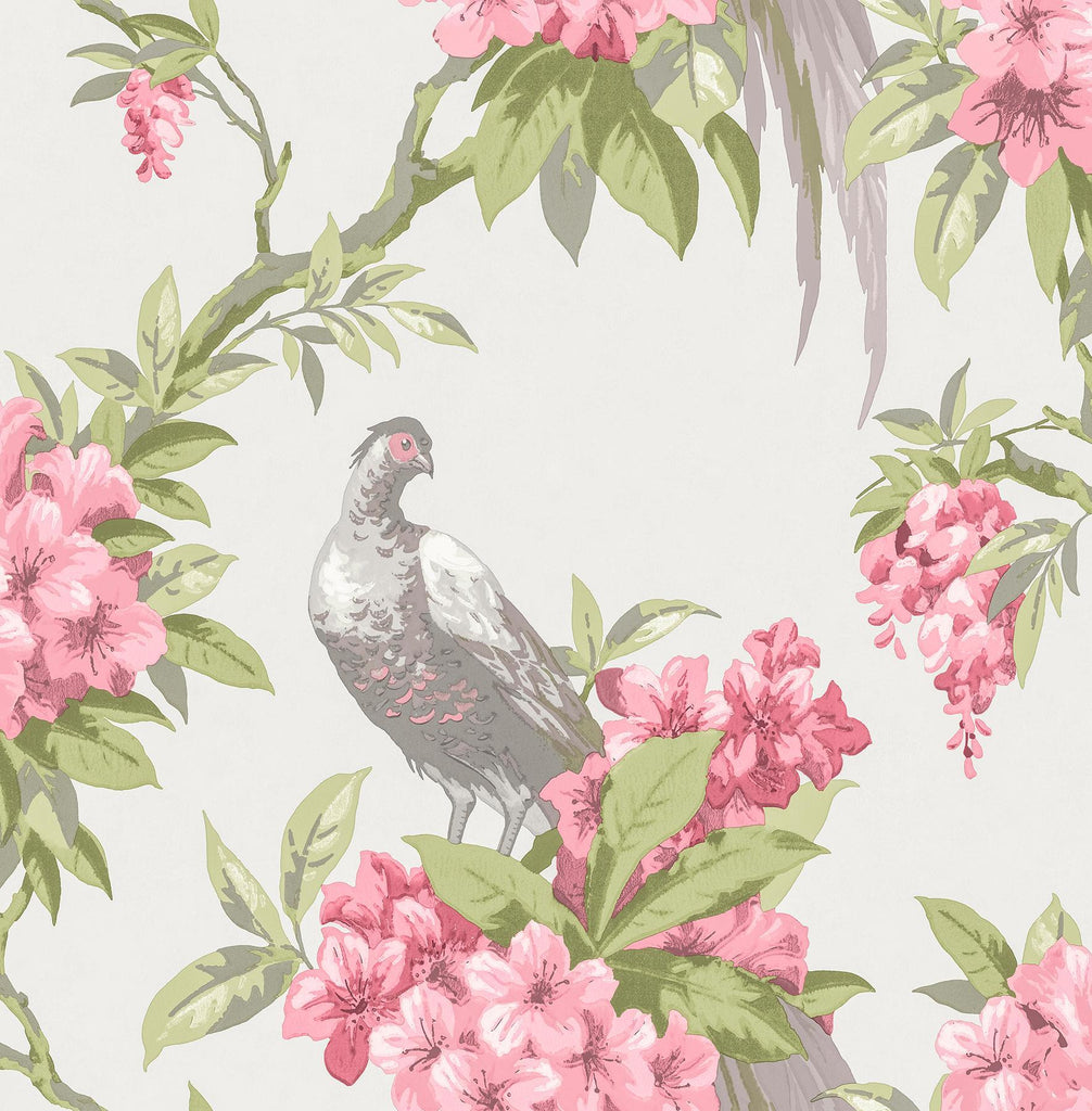 Brewster Home Fashions Golden Pheasant Rose Floral Wallpaper