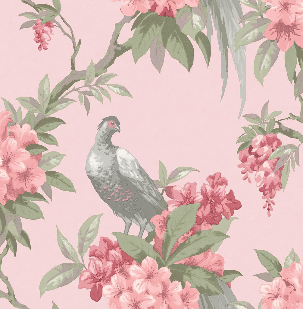 Brewster Home Fashions Golden Pheasant Pink Floral Wallpaper