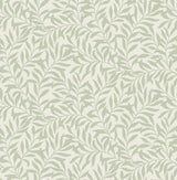Brewster Home Fashions Salix Sage Leaf Wallpaper