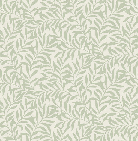 Brewster Home Fashions Salix Sage Leaf Wallpaper