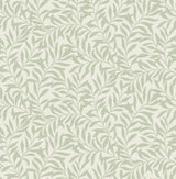 Brewster Home Fashions Salix Leaf Sage Wallpaper