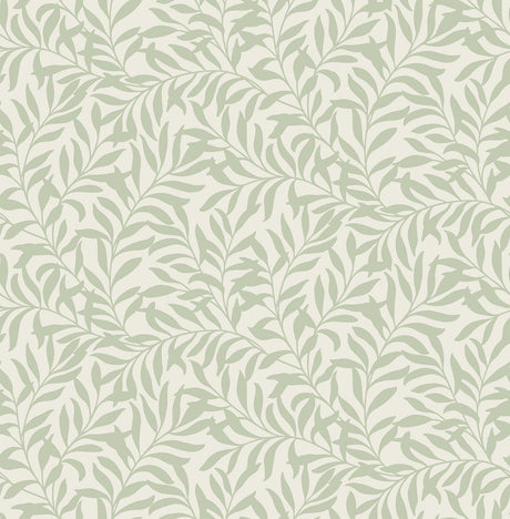 Brewster Home Fashions Salix Leaf Sage Wallpaper