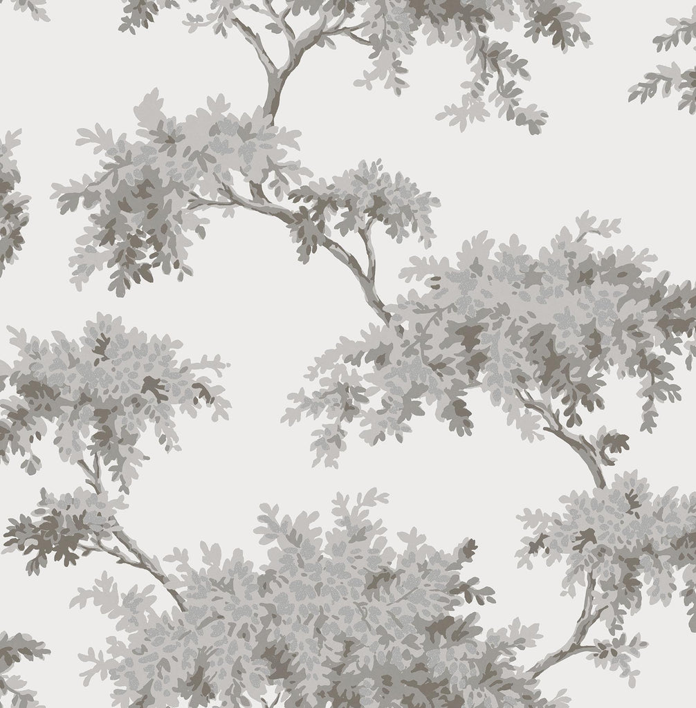 Brewster Home Fashions Ashdown Grey Tree Wallpaper