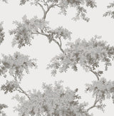 Brewster Home Fashions Ashdown Tree Grey Wallpaper