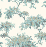 Brewster Home Fashions Ashdown Teal Tree Wallpaper