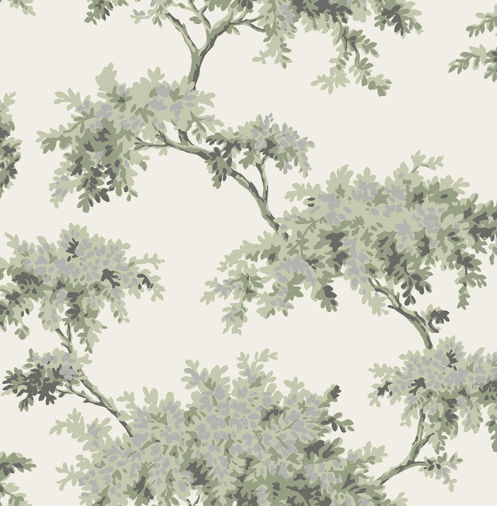Brewster Home Fashions Ashdown Sage Tree Wallpaper