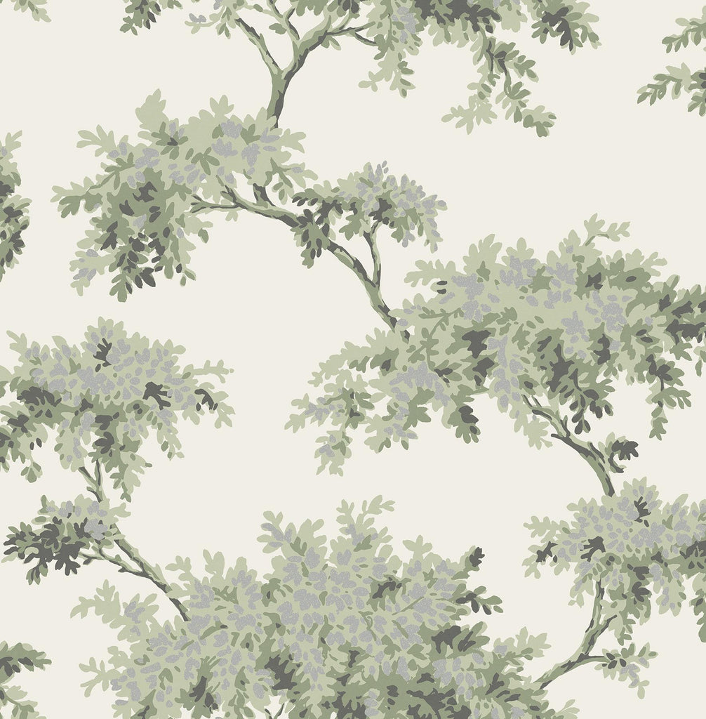 Brewster Home Fashions Ashdown Tree Sage Wallpaper