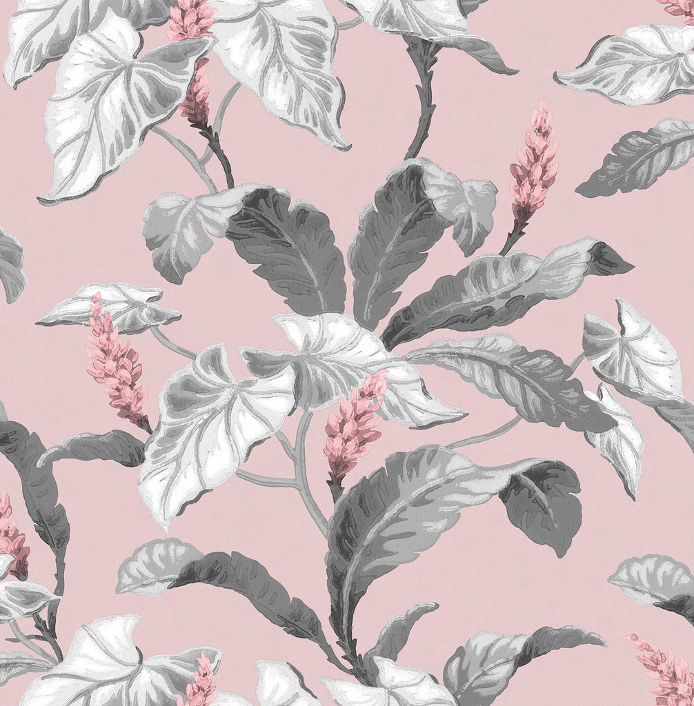 Brewster Home Fashions Meridian Parade Pink Tropical Leaves Wallpaper