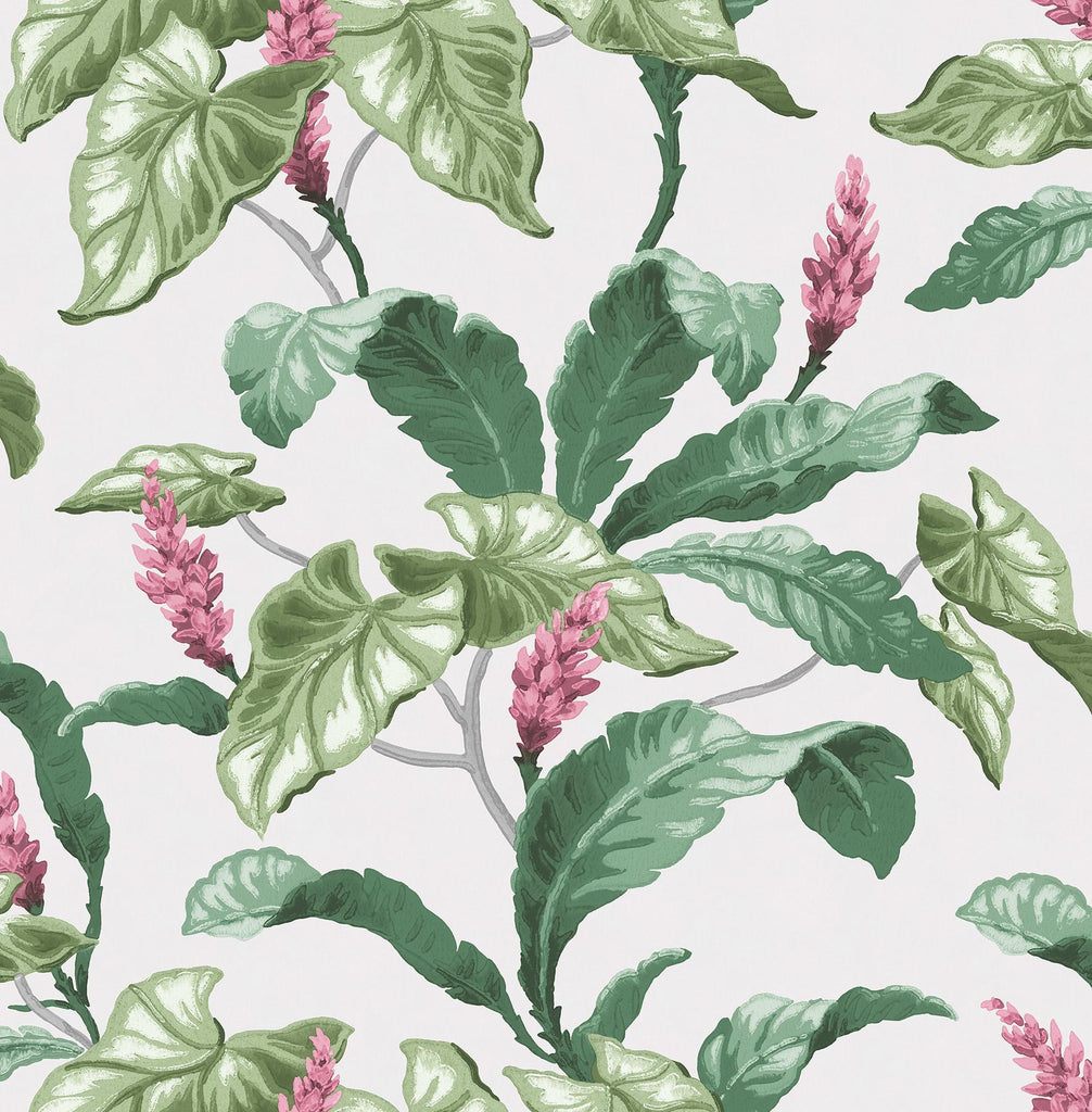 Brewster Home Fashions Meridian Parade Green Tropical Leaves Wallpaper