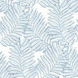 A-Street Prints Finnley Inked Fern Blue Wallpaper