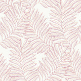 A-Street Prints Finnley Pink Inked Fern Wallpaper