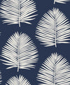 Seabrook Island Palm Midnight Sky Wallpaper
