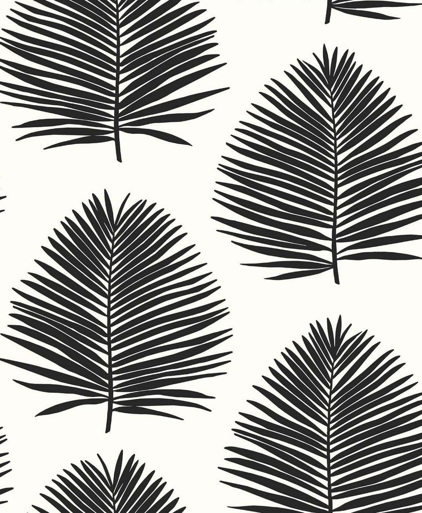 Seabrook Island Palm Day And Night Wallpaper