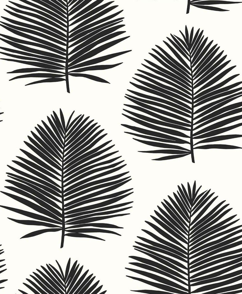 Seabrook Island Palm Black Wallpaper
