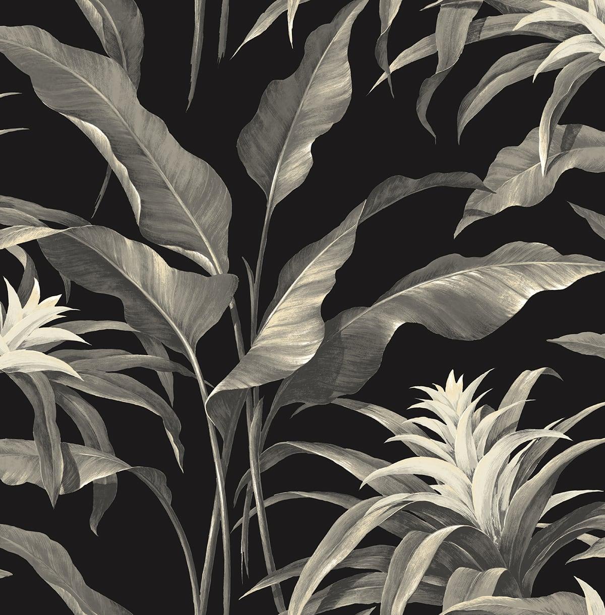 Seabrook Palma Black Wallpaper
