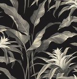 Seabrook Palma Black Wallpaper
