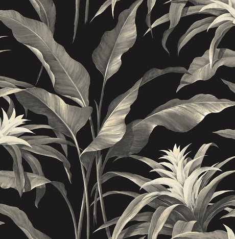 Seabrook Palma Black Wallpaper