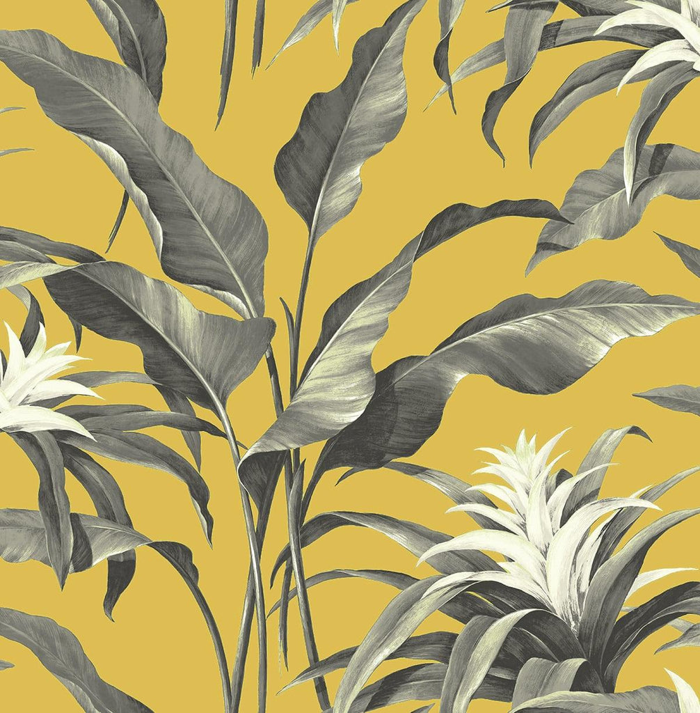 Seabrook Palma Yellow Wallpaper