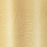 Lee Jofa HORIZONTE CITRON Fabric