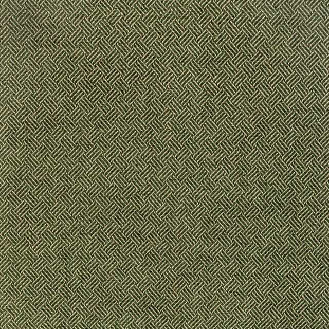 Lee Jofa LEON WEAVE HUNTER Upholstery Fabric