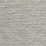 Kravet NONI TEXTURE PLATINUM Fabric
