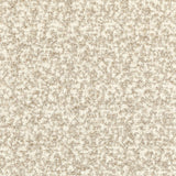 Kravet FLYING HIGH WHITE SAND Fabric