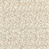 Kravet Flying High White Sand Fabric
