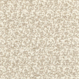 Kravet FLYING HIGH WHITE SAND Upholstery Fabric