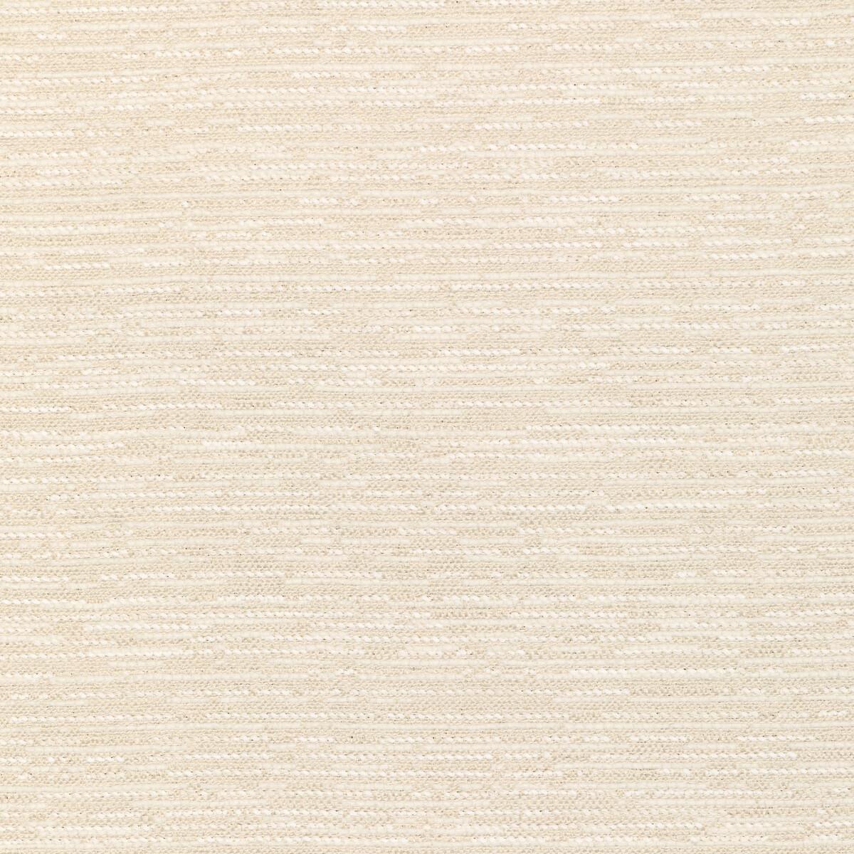 Kravet 36300 101 Fabric