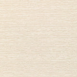 Kravet 36300 101 Fabric