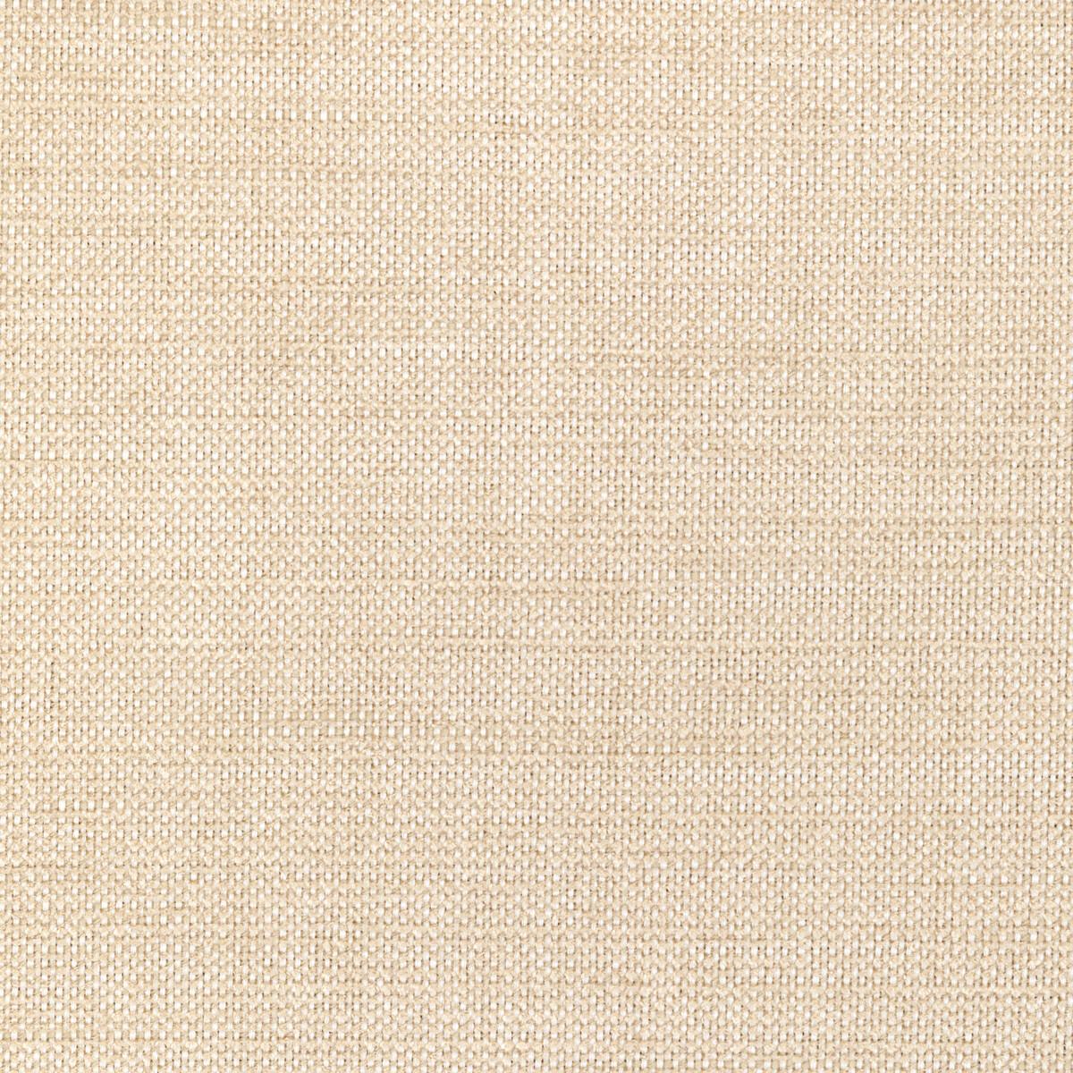 Kravet 36302 1 Fabric