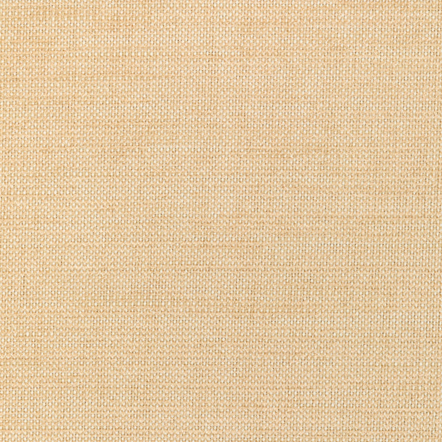 Kravet SMART 36302 116 Upholstery Fabric